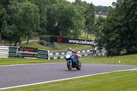 Lower Group Blue Bikes